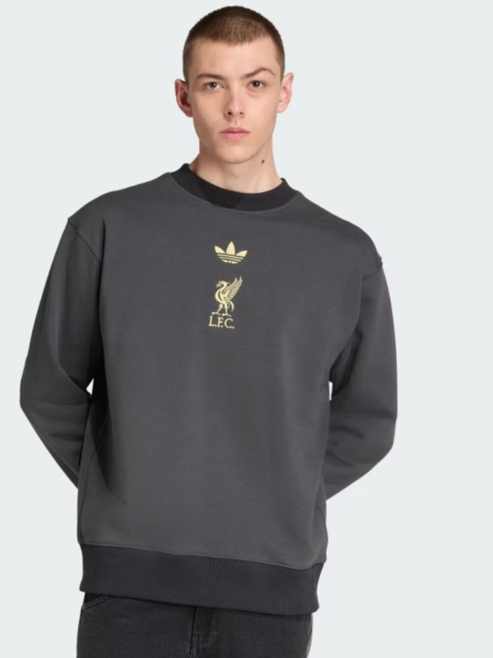 Adidas Originals Liverpool Crewneck LFC Sweatshirt Carbon Gold KC7801